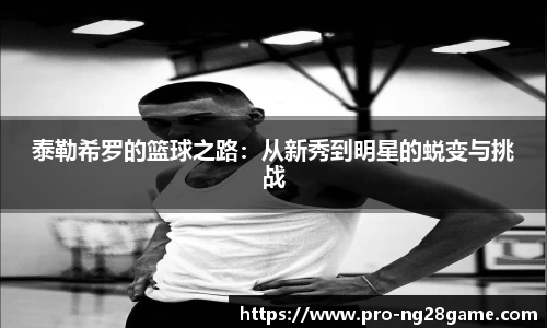ng28官网