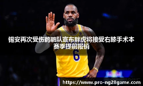 ng28官方网站