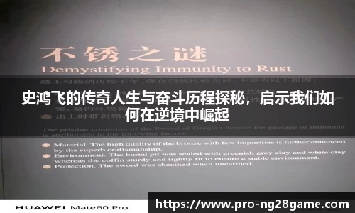 ng28官网