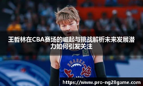 ng28官网